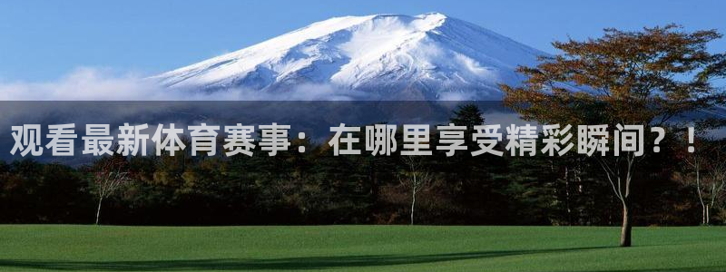 观看最新体育赛事：在哪里享受精彩瞬间？！