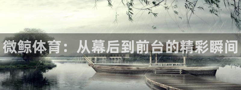 微鲸体育：从幕后到前台的精彩瞬间