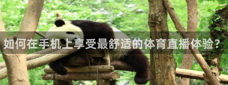 如何在手机上享受最舒适的体育直播体验？