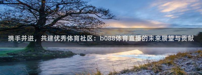 携手并进，共建优秀体育社区：b088体育直播的未来展望与贡献