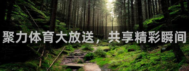 聚力体育大放送，共享精彩瞬间